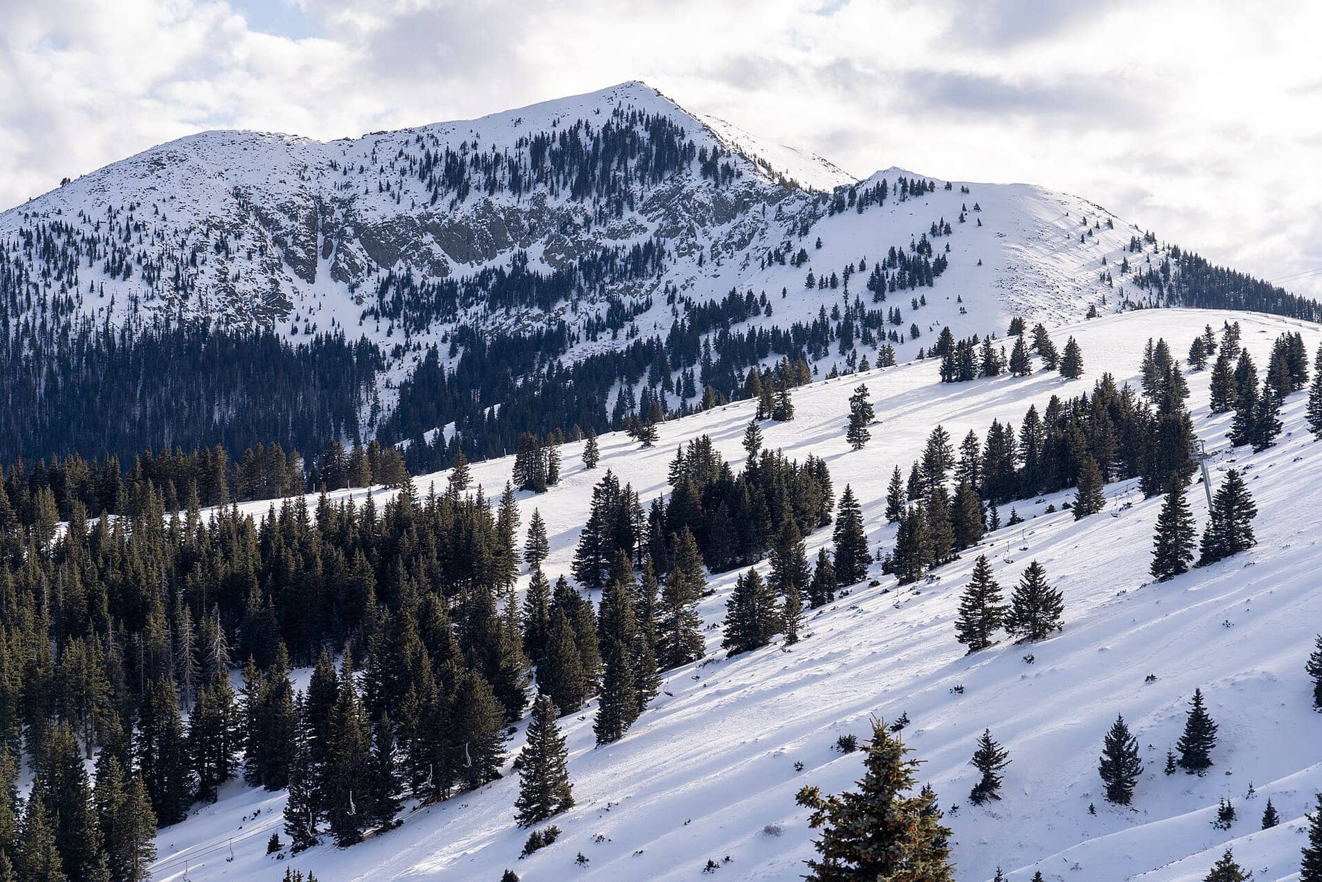 Snow-covered Sierra Blanca Peak above treed slopes, seen from the Ski Apache gondola line